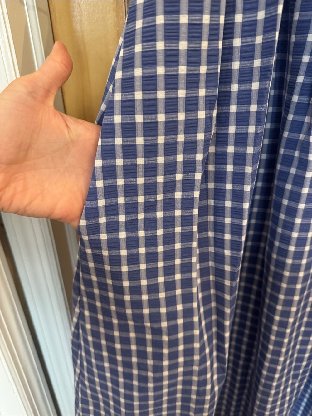 Wray Sleeveless Blue Gingham Dress - Picture 3 of 6